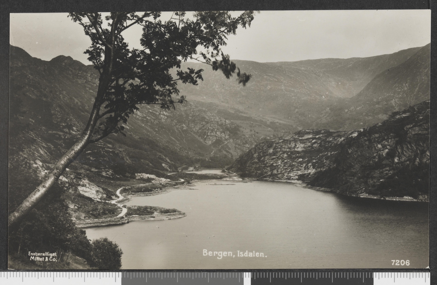 Historic postcard showing Isdalen in Bergen between 1918 and 1923